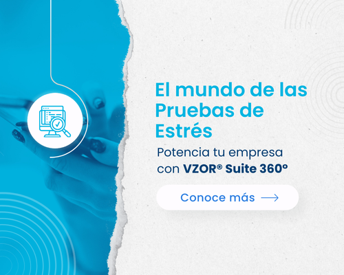 The World of Stress Testing and How VZOR® Suite 360° Can Empower Your Business