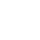 VZOR Business Monitor
